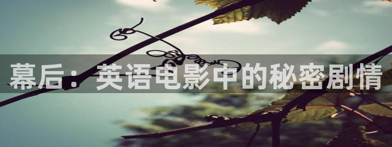 新闻图片