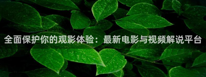 久久视频国产在线观看