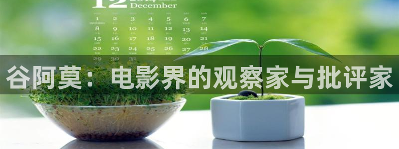 精品久久久影视