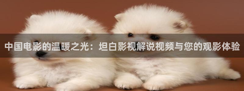 久久久久精品黄桃影视