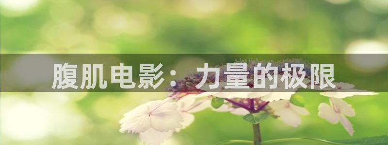 久久久久久久久精品免费视频