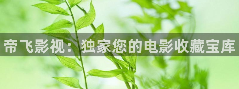 久久久久久久久免费视频