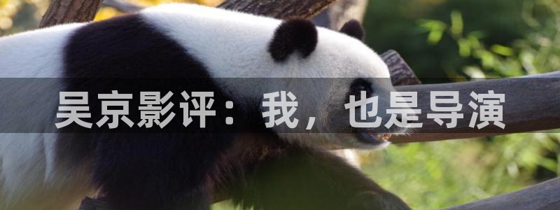久久久久久电影影院电影