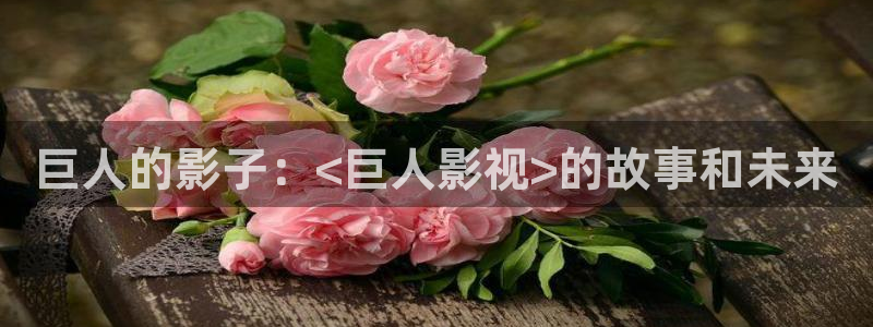久久视频a区