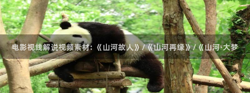 亚洲久久视频播放