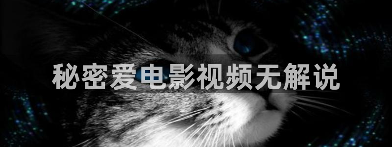 久久久伦理影院