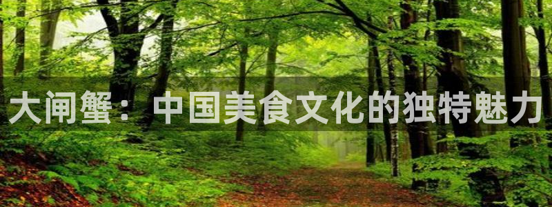 久久久久久国产精品嫩模综合影院
