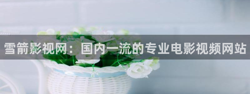 久久视频www