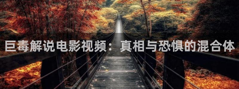 久久视频在线精品视频