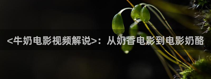 久久久国产影院
