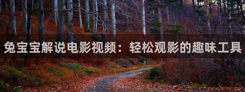 伊人久久视频免费