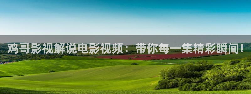 国内精品久久久久影视