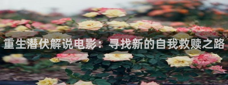 久久久久精品小视频