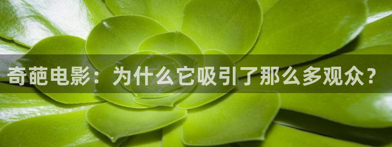 久久久久久小视频