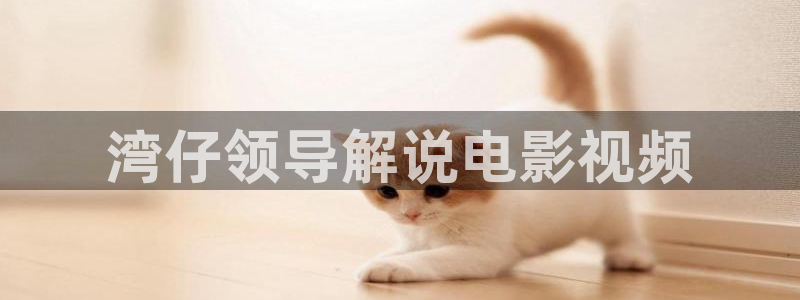 99精品久久视频
