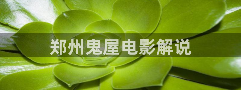 天天影视综合网久久久