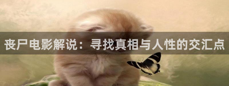 久久久久久av影院