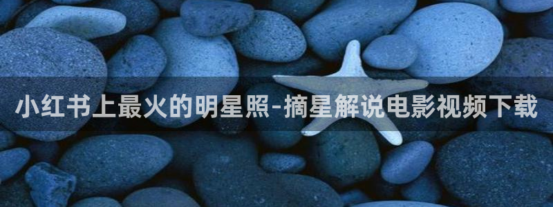 久久久九九影院