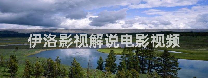 久久久久免费免费视频