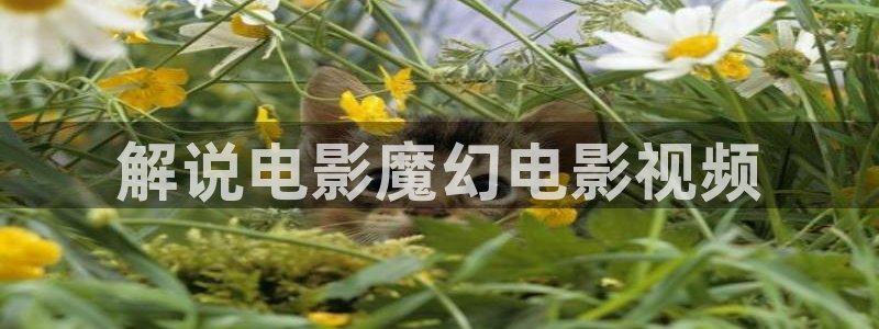 午夜精品久久久久久毛片