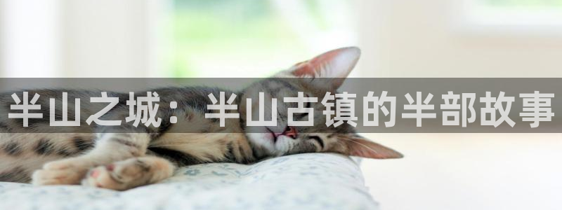 老子影院午夜不卡久久久