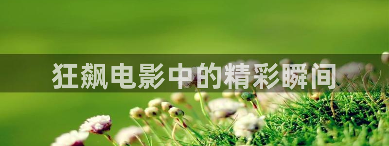 新闻图片