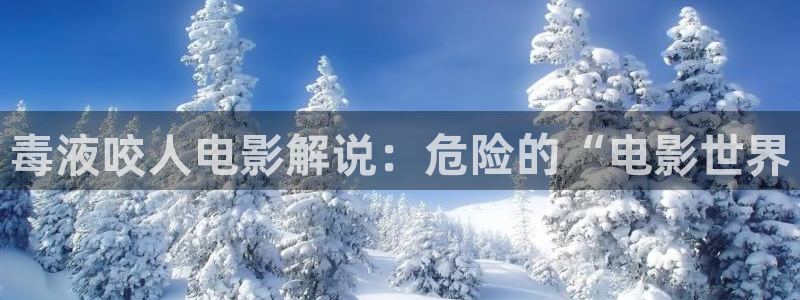 国产精品电影久久久久久
