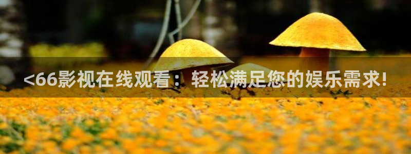 久久视频69