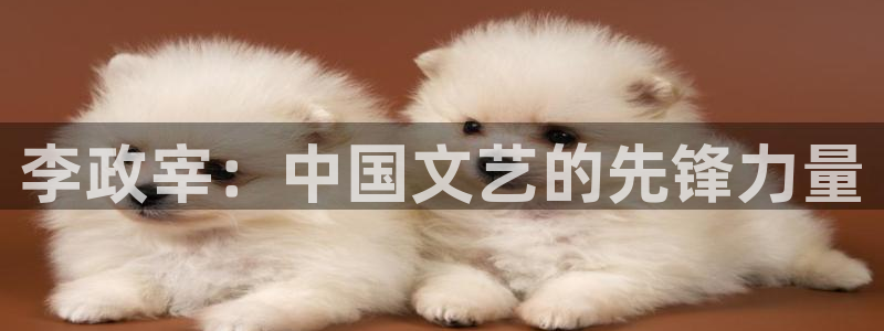 亚洲精品久久视频