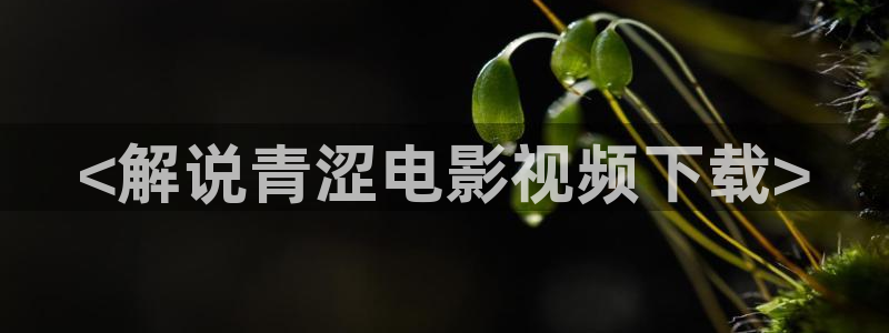 亚洲影院久久久