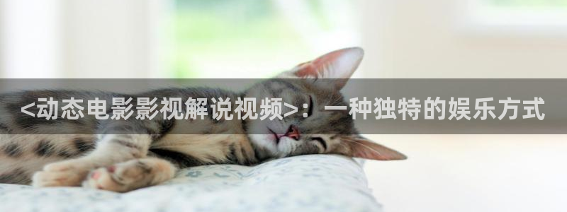 久久视频在钱