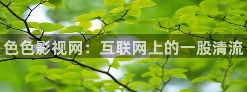 国内精品久久久久影院精品久久久