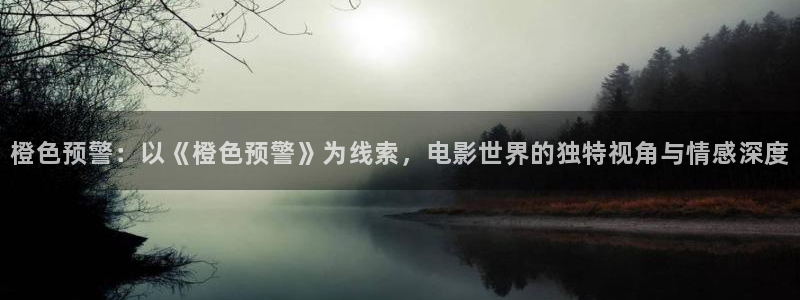 久久视频在线视频2019