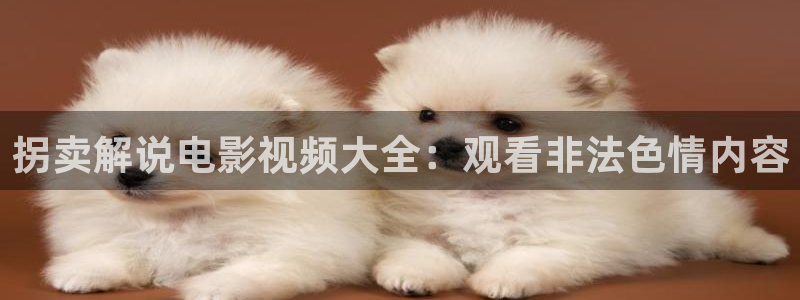 久久久久久97视频