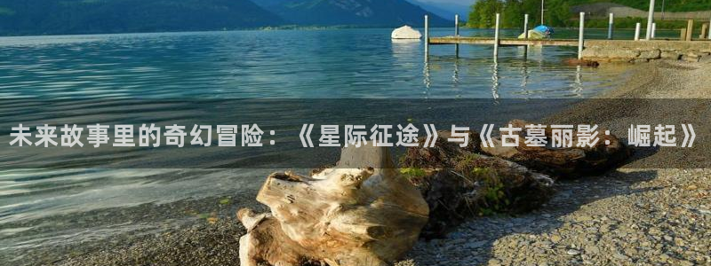 国产视频久久久久久久久