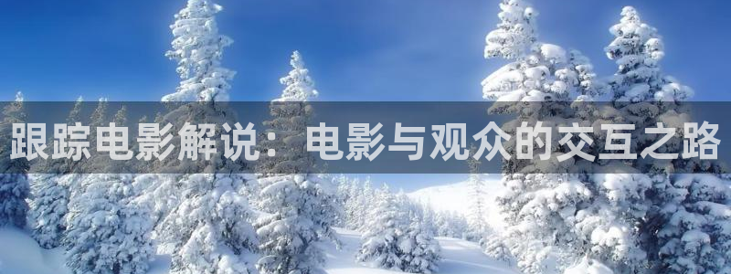 天天综合影院久久久久久