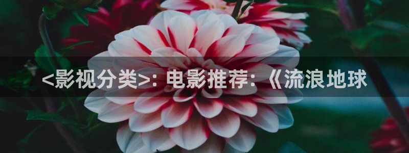 精品国产久久视频