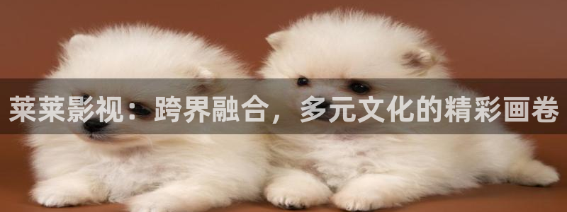 高清国产视频久久久久