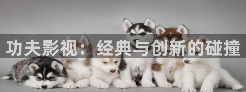 2019免费久久视频