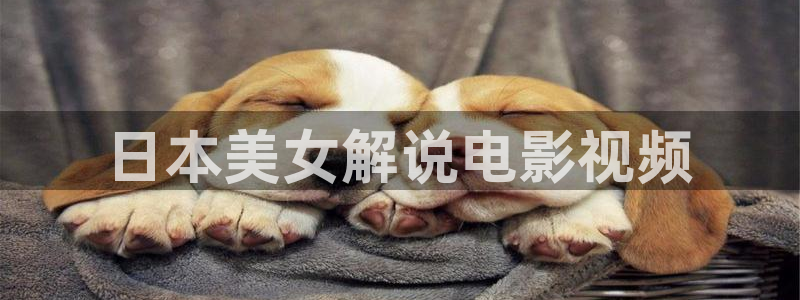 91人妻精品久久久久久久久电影
