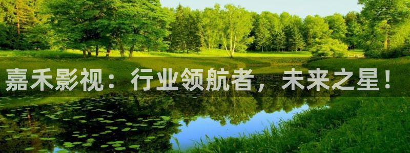 精品爱久久久影院