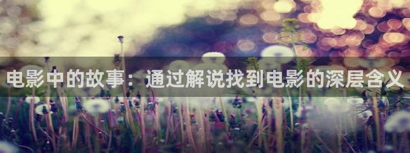 精品大片久久久久久