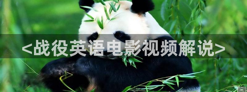 亚洲久久视频播放