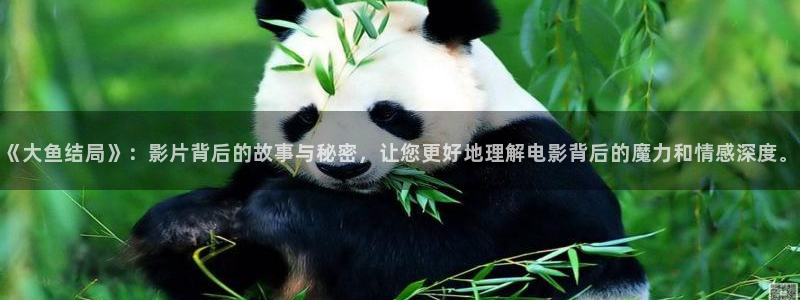 午夜精品久久久久久av