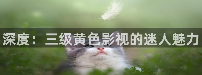 午夜精品久久久影院av