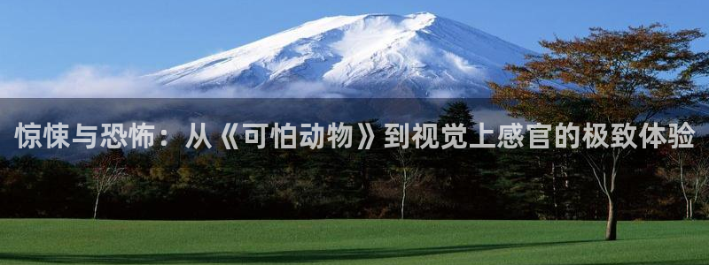 久久视频6
