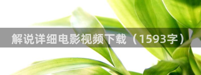 久久视频免费一区