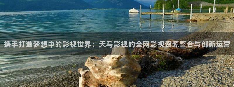 久久久在线观看