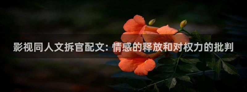 久久视频韩国