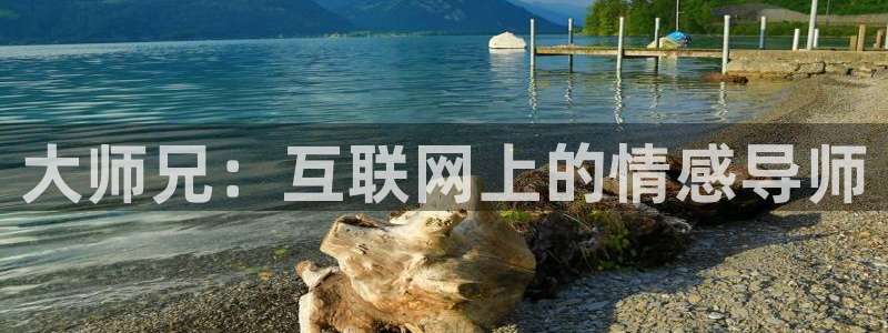 国产精品电影久久久久电影网